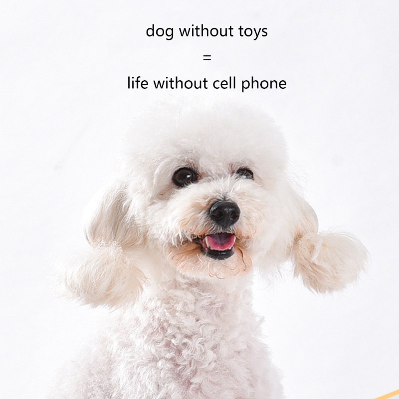 Đồ Chơi Huấn Luyện Tương Tác IQ Cho Thú Cưng