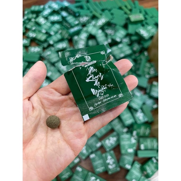 #phu#Khang#họ#nguyên#chinh#hang