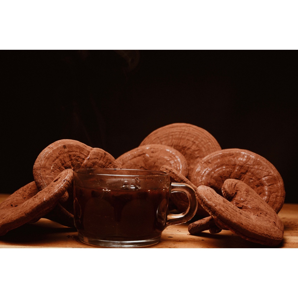 Nấm linh chi đỏ Việt Nam nguyên bào tử dễ uống - LOKA