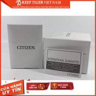 Đồng hồ Citizen nữ Quartz EV0054-54D