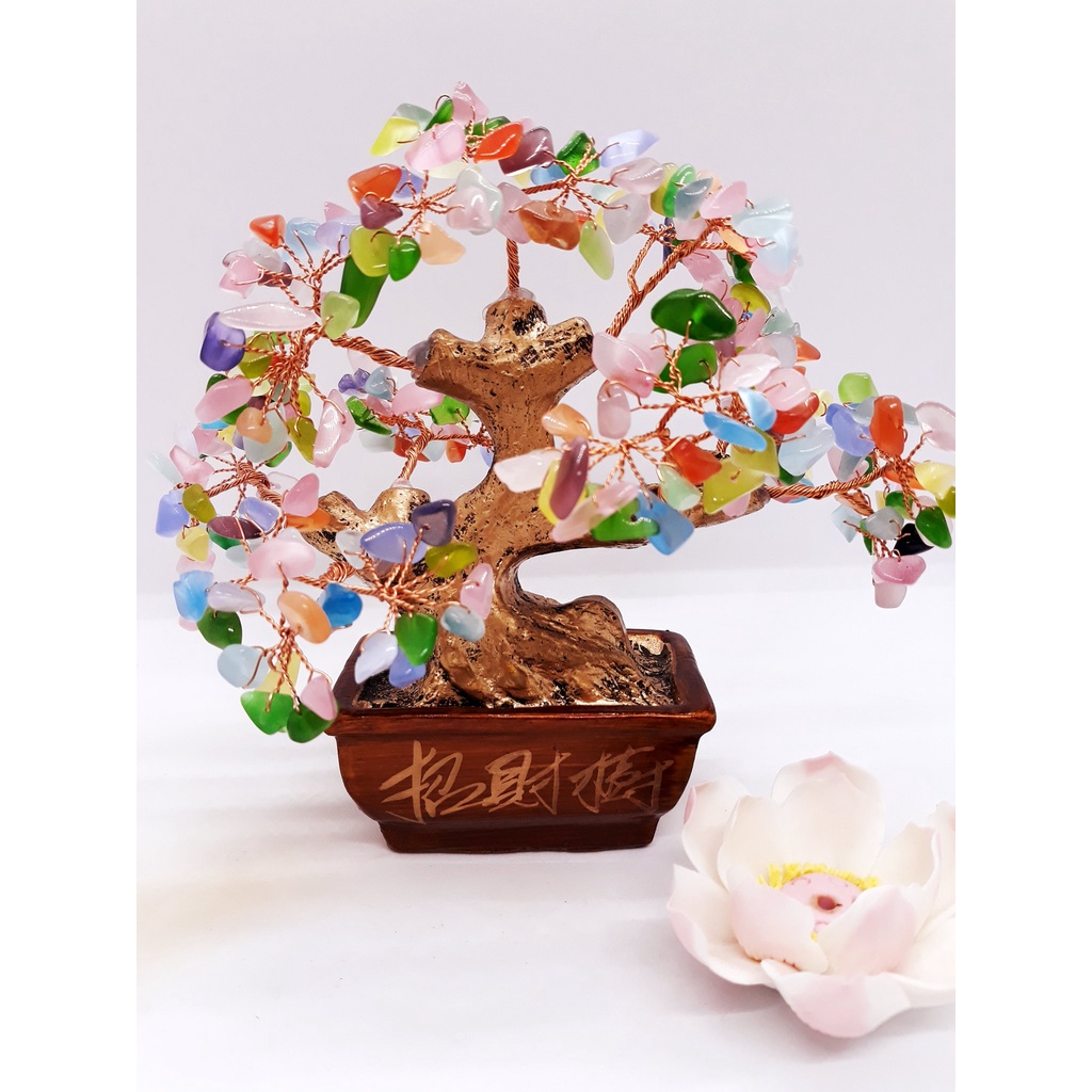 💥 GIÁ CỰC RẺ 💥 Cây đá phong thuỷ Ngũ Sắc