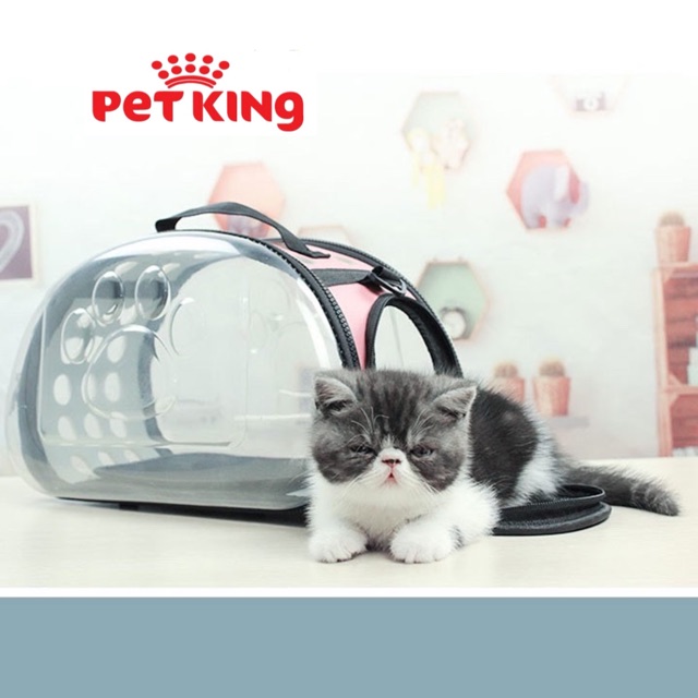 Túi Vận Chuyển Trong Suốt cho Thú Cưng size lớn