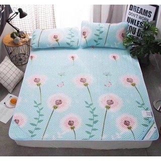 Chiếu điều hoà Tencel cao cấp có mác và túi đựng đi kèm