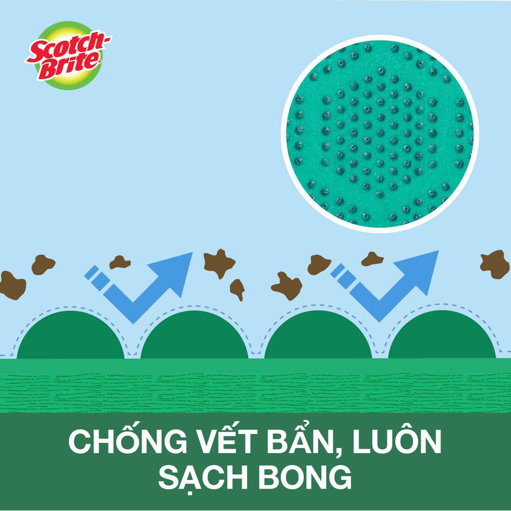 Combo 6 Gói 1 Miếng Cọ Rửa Hạt Nổi Siêu Sạch 3M XE006002945 | 11.4 x 6.9 x 2.6cm | Hàng Chính Hãng Scotch-Brite