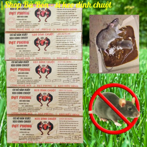 Keo dính chuột TO siêu dính nhiều keo dạng hộp | Bẫy chuột Cống TO
