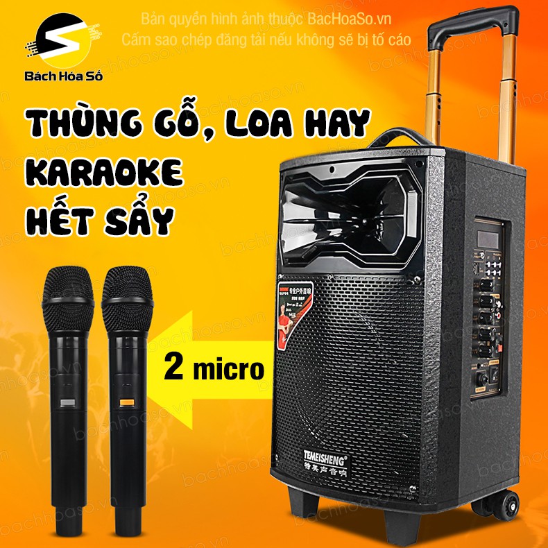 Loa kéo karaoke di động QX 0831 TEMEISHENG cực hay, 2 micro