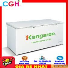 Tủ đông kháng khuẩn Kangaroo KG398C2