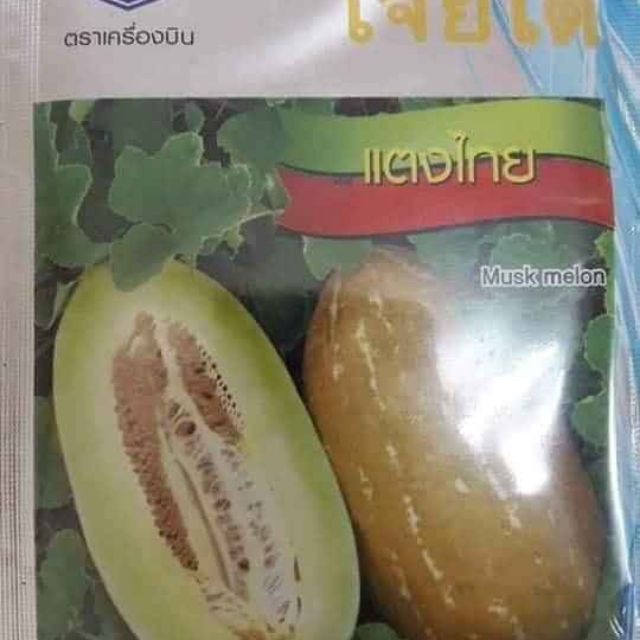 Hạt giống dưa bở thơm Thái Lan