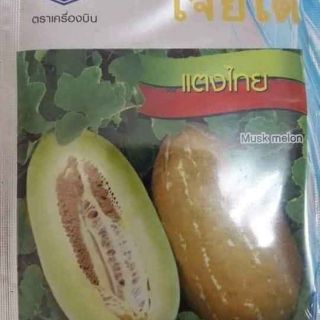 Hạt giống dưa bở thơm Thái Lan