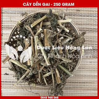 Cây Dền Gai khô sạch loại 1 - Hàng Chính Hãng