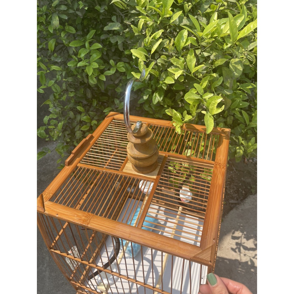 Khung lồng chào mào tre già, trúc già TỰ RÁP dáng thái , vuông đấu cực bền đẹp rẻ Phụ Kiện Lồng Chim L003