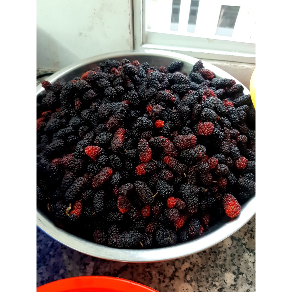 Siro Dâu Tằm, Atiso Đỏ - 500 Gram