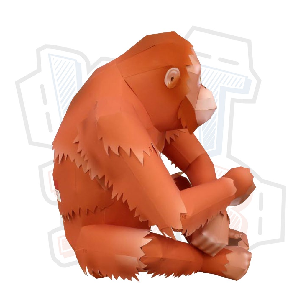 Mô hình giấy động vật đười ươi Orangutan