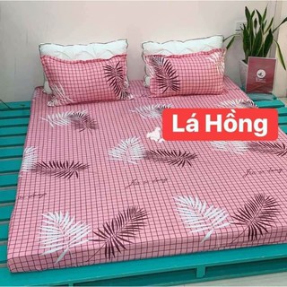 set ga gối poly cottong 3 món