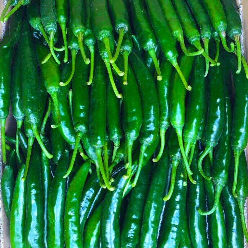 Ớt xanh Hàn Quốc 100g