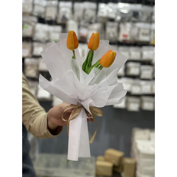 HOA TUY LIP BÓ HÀN QUỐC