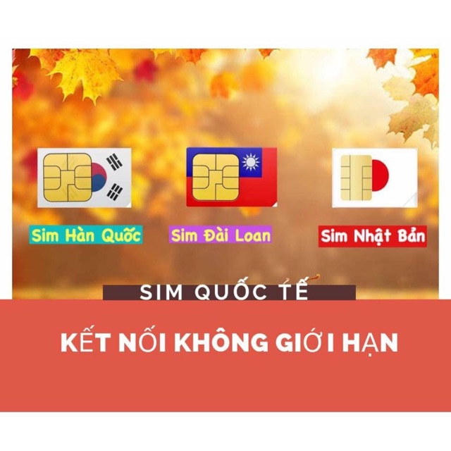 👉🏻 SIM QUỐC TẾ THẢ GA DATA - TỐC ĐỘ 4G NHANH NHƯ NGƯỜI YÊU CŨ DỞ MẶT⚡️⚡️