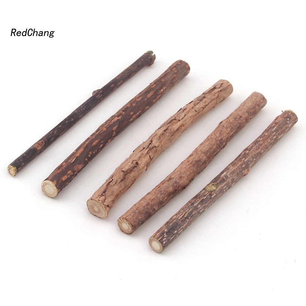 Set 5 thanh gỗ bạc hà làm sạch răng cho mèo