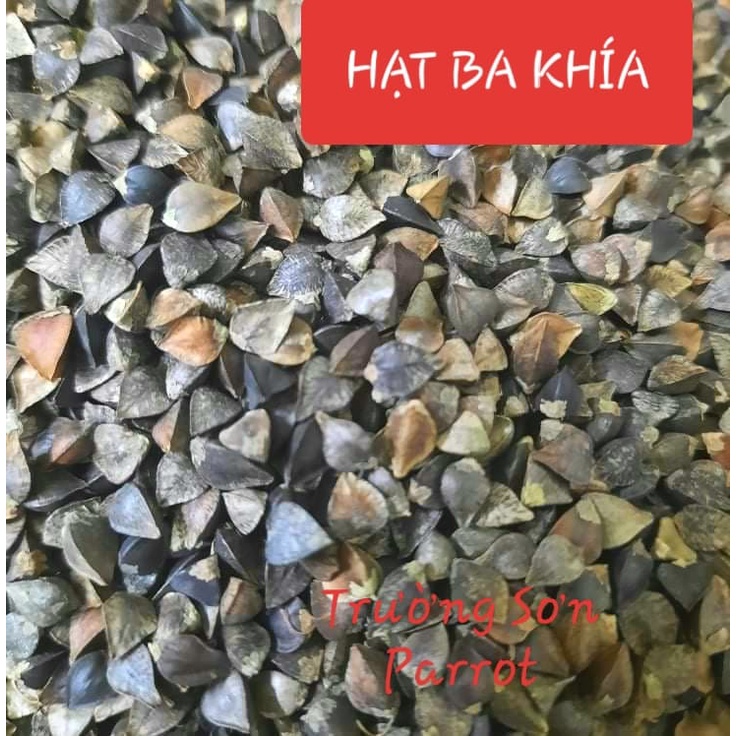 500g/1000g hạt ba khía (hạt tam giác mạch) cho chim, vẹt, chuột, hamster, gà đá...