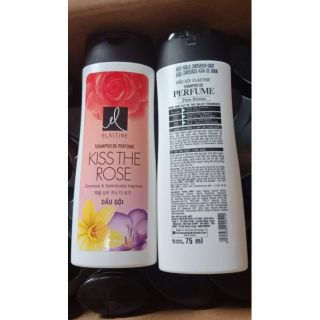 Dầu gội kiss the rose 75ml