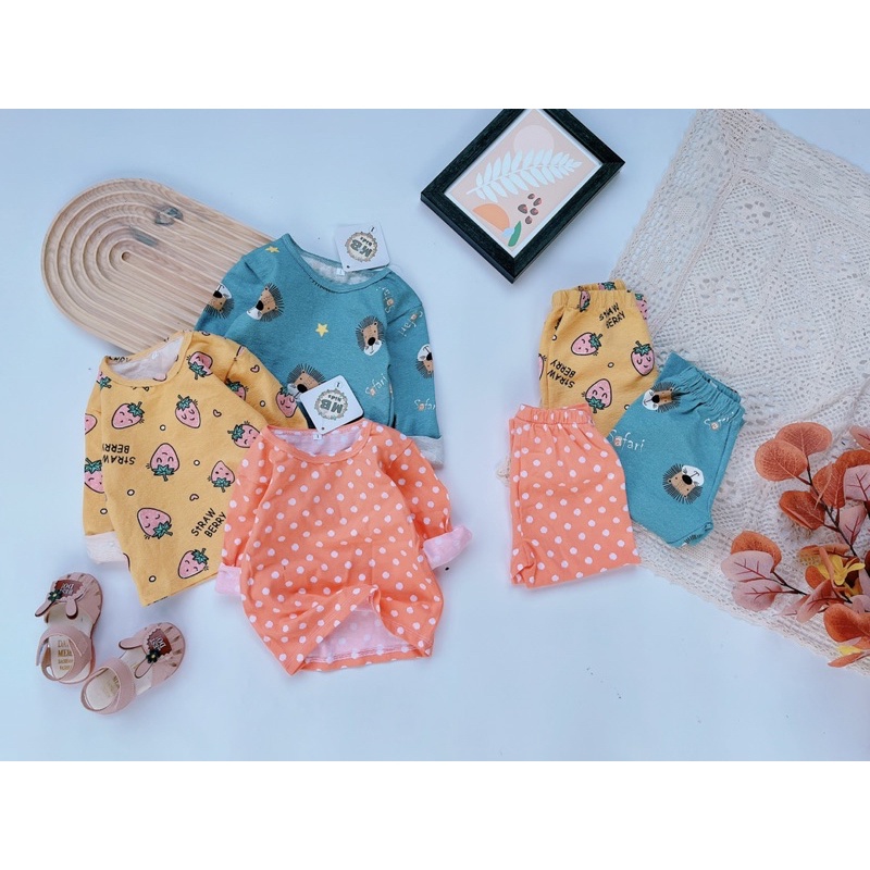 sỉ Lố 49b giá 49k. Bộ cotton cho bé trai và bé gái