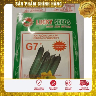 Bộ gói hạt giống Dưa chuột thái