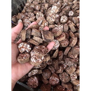 chuối hột rừng khô