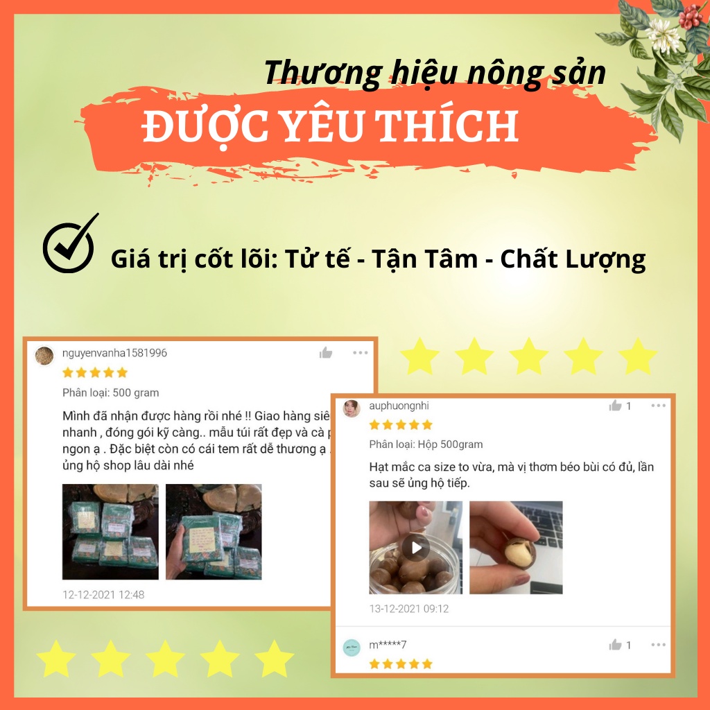 hạt macca nứt vỏ mắc ca Đăk Lăk sấy lạnh quả dễ tách giá tận xưởng giàu dinh dưỡng cho Mẹ Bầu hộp 500g từ GIỌT NẮNG