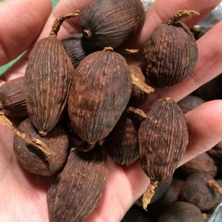 [GIA VỊ KHÔ] Thảo Quả 100g