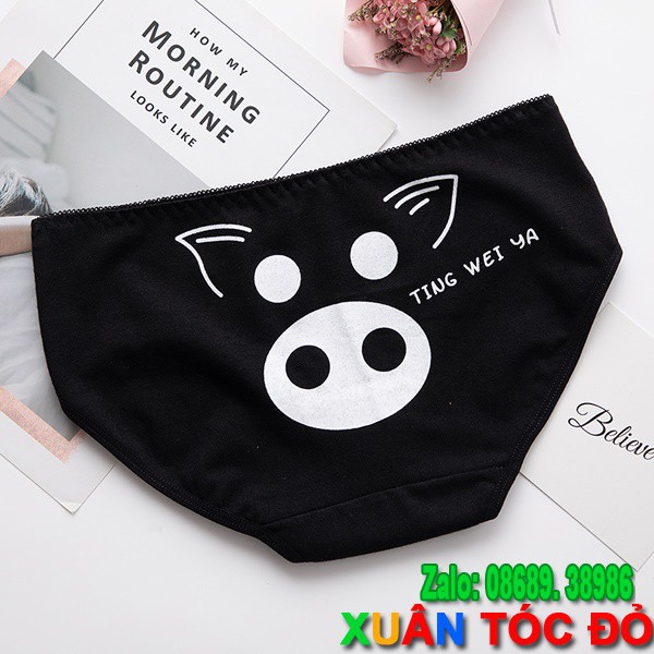 [Mã WASTDEP giảm 5K đơn bất kì] SỈ ZALO RẺ HƠN NHIỀU_ Quần Lót 5 Kiểu Mặt Loài Vật Siêu Xinh N010 | BigBuy360 - bigbuy360.vn