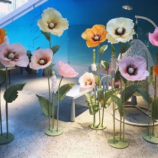 Hoa poppy đầu bông trang trí backdrop