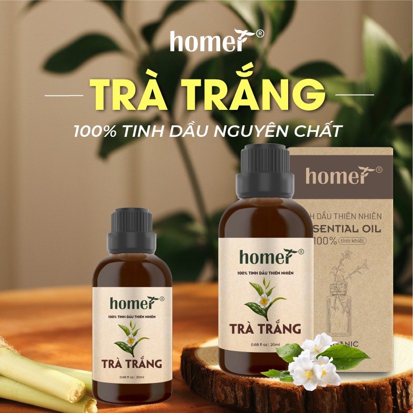 Tinh dầu Trà Trắng Homer 500ML/ 1L - White Tea Essential Oil - đạt chuẩn chất lượng kiểm định