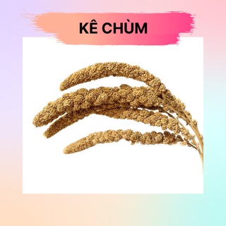 Kê chùm dành cho hamster, chim, vẹt túi 50g