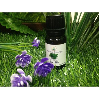 com bo 5 tinh dầu bạc hà Viện Hàn lâm