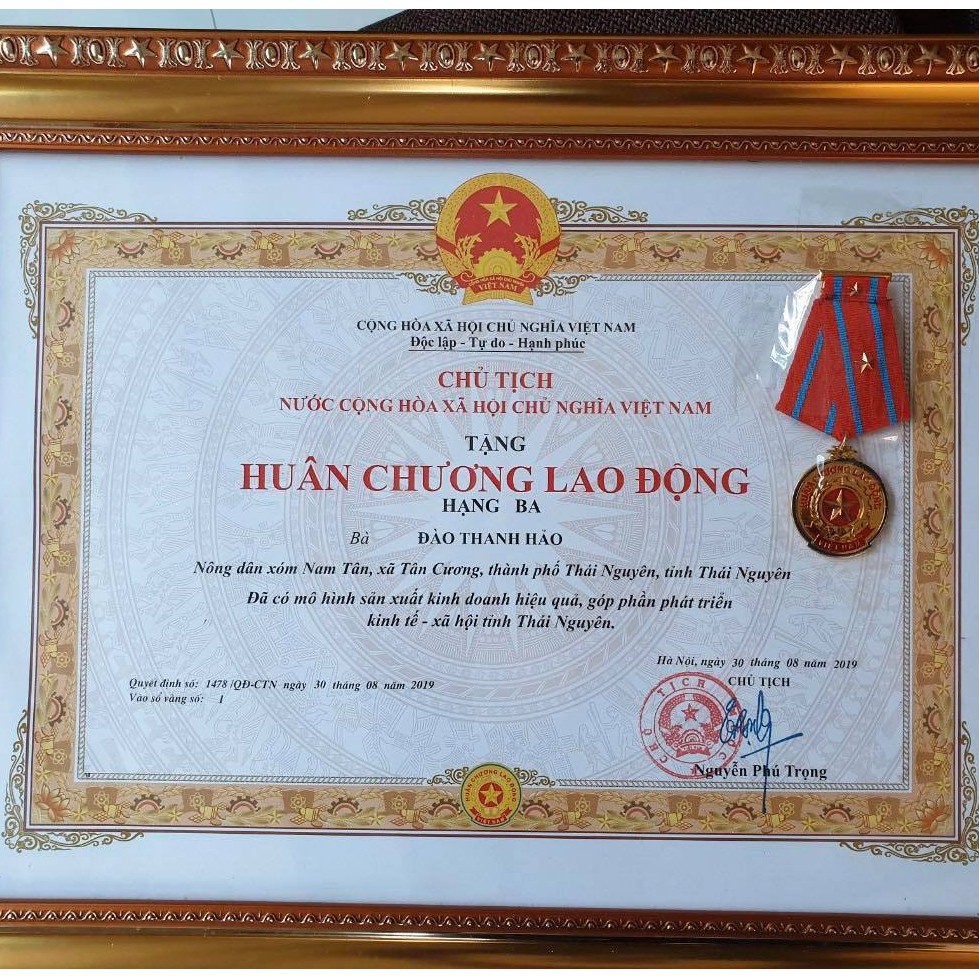 [Trà Thái Nguyên] Trà Tân Cương Nõn Tôm Đặc Biệt 100g- tiêu chuẩn VietGAP-TT-14-03-19-0006