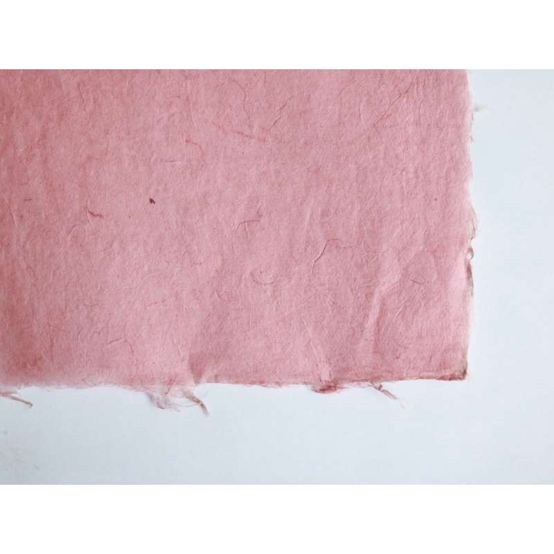 Tập giấy Dướng nhiều màu 10 tờ cho tín đồ journal-