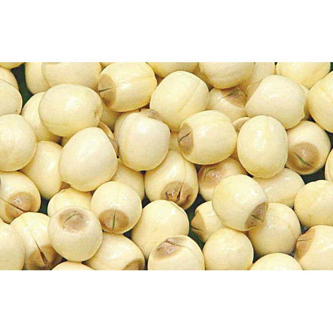 HẠT SEN NƯỚC ĐƯỜNG- LOTUS NUTS (425gr) - Antesco - Là thức uống có tác dụng giải độc gan, thanh lọc cơ thể, giảm bớt nó