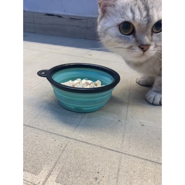 Viên Gà Sấy Khô/ Thịt gà Sấy Khô/Lòng đỏ/Gà miếng/cá hồi sấy khô Ăn Vặt Hoặc Mix Cùng Hạt Cho Chó Mèo Hamster