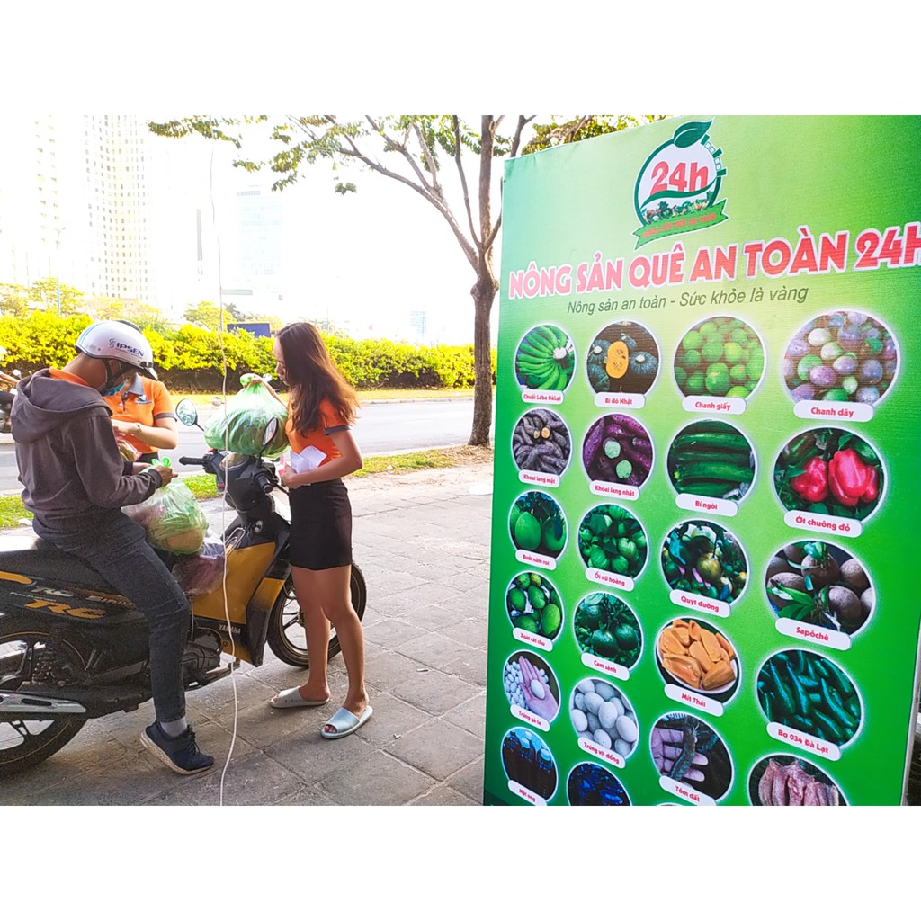 Tỏi Cô Đơn Phan Rang, trái lớn, già, thơm ngon, chất lượng [1 kg] I Kho Thảo Dược 24h