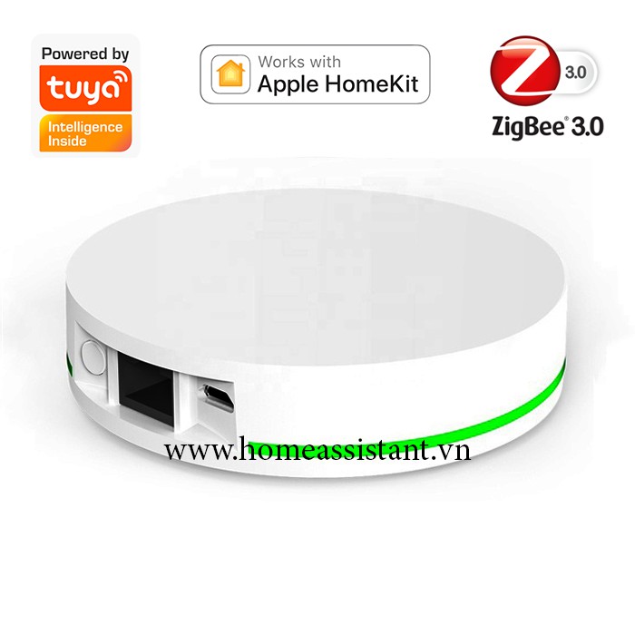 Trung Tâm HUB Zigbee Tuya Apple HomeKit Ethernet LAN ZHG01  Hass Smart Life