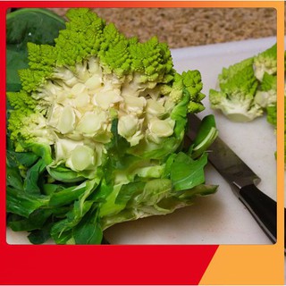 Hạt Giống Súp Lơ San Hô