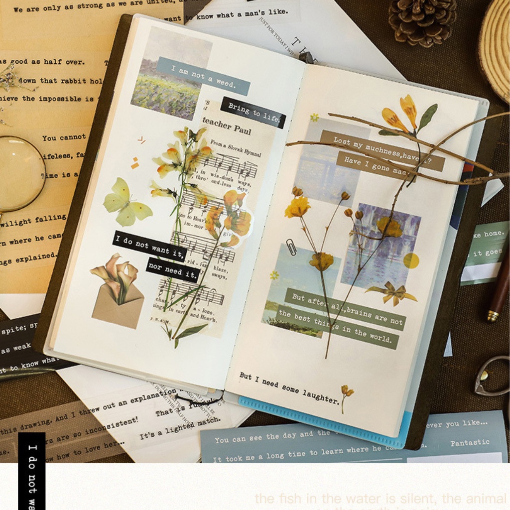 Sticker - Set Stickers Dòng Chữ Tiếng Anh Trong Suốt Và Có Màu Trang Trí Bullet Journals