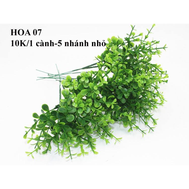 HOA TRANG TRÍ