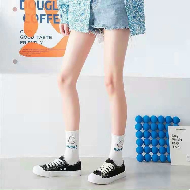 Set 5 đôi tất trắng in hình gấu thỏ cute