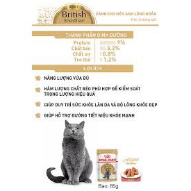 Thức ăn cho mèo anh lông ngắn - Thức ăn British Shorthair (Gravy) ( mèo lớn và mèo con)