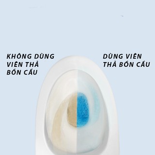 Viên thả bồn cầu toilet diệt khuẩn TL2021