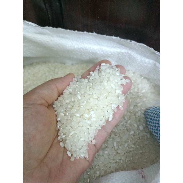 Gạo sén cù tròn Văn Chấn-2kg