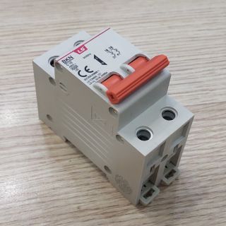 Mcb ls bkn 2p 6~63a