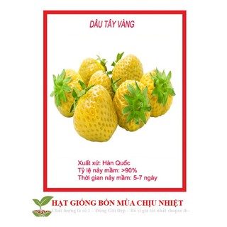 HẠT GIỐNG DÂU TÂY VÀNG 50H luckyseed hạt siêu rẻ