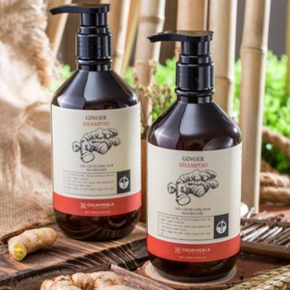 Combo Dầu gội và dầu xả gừng tươi nguyên chất 100%